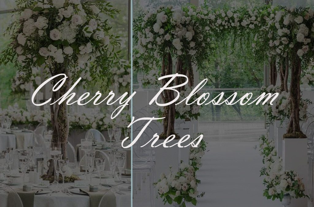 Cherry Blossom Trees