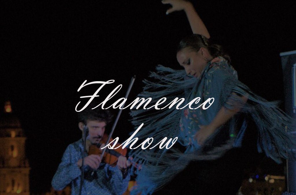 Flamenco Show